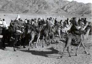 Arab attachment to the British Army